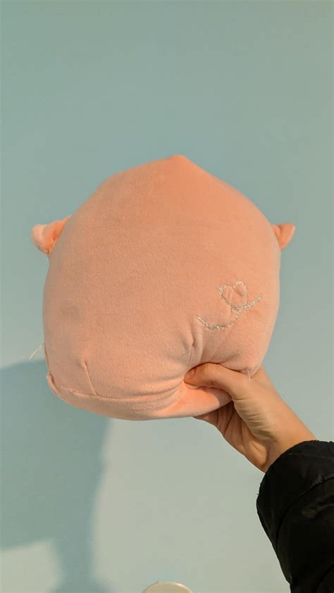 pablo squishmallow|pua squishmallow.